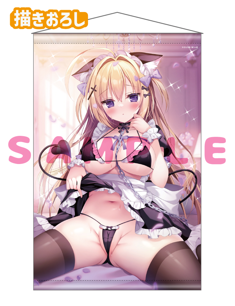 【白もち桜　ほかんけいかく！】Wスエードタペストリー　26年9月11日グッズ